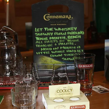 Hotel Fairhill House 3*